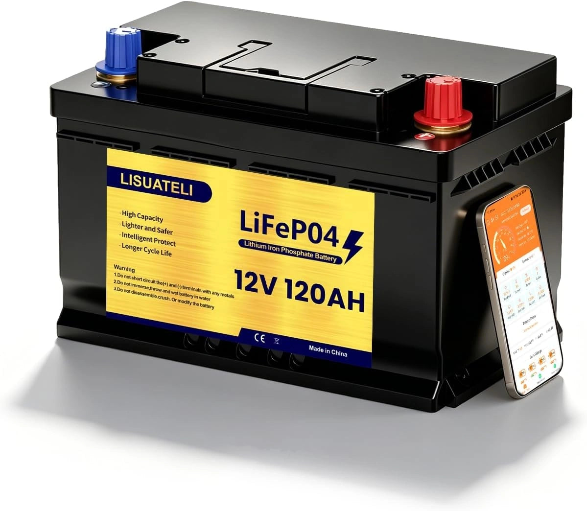 Batteria ricaricabile, 12 V, 120 Ah, con controllo intelligente