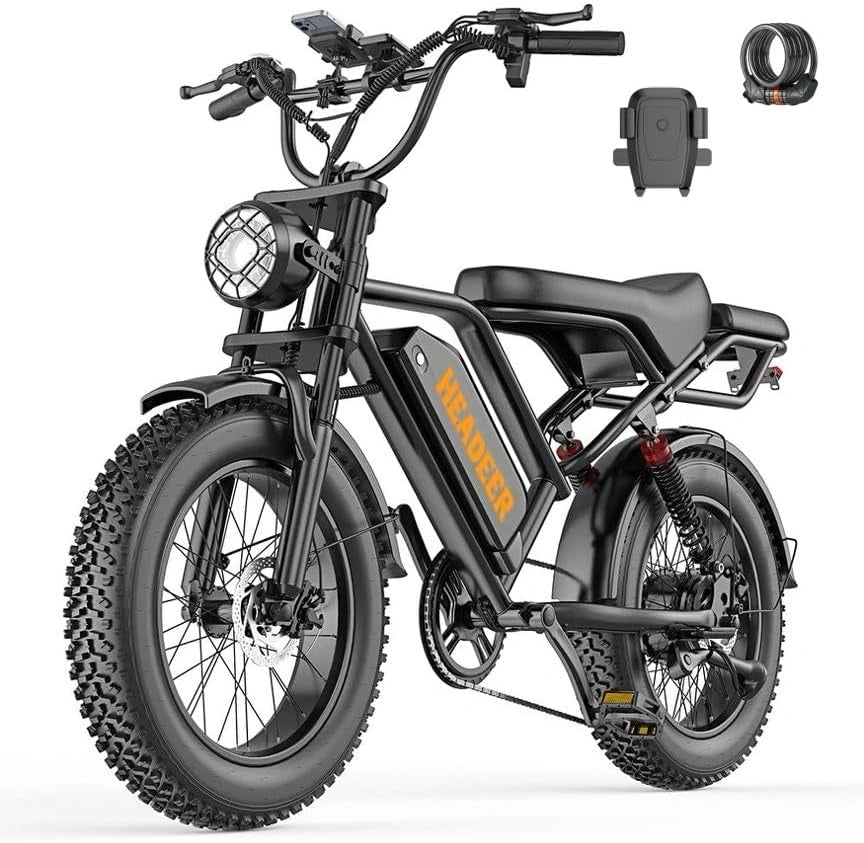 BK20Bicicletta, Bicicletta elettrica, 48 V, 20 Ah, 100 km