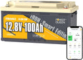 Power, Batteria ricaricabile, 12,8V, 100Ah, 1280Wh, con Bluetooth