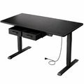 Scrivania Elettrica Regolabile in Altezza 120x80 cm con USB-C e Anti-Collisione, 2 Cassetti Rimovibili, Nero